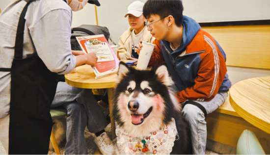 云图片